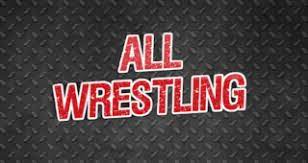 How to Watch Wrestling? – A Beginner's Guide